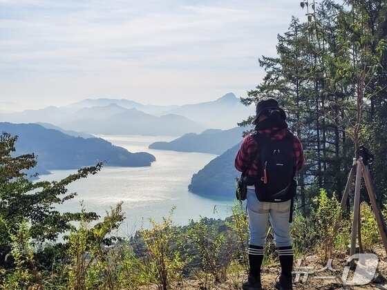 본문 이미지 -  충주 계명산 임도에사 바라본 충주호.&#40;자료사진&#41;/뉴스1