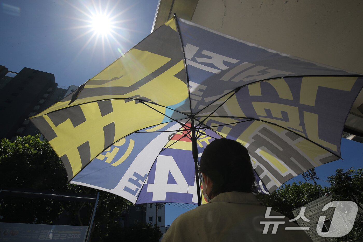 본문 이미지 - 폭염이 이어진 28일 오전 대구 동구의 한 행정복지센터에서 민원인이 폐현수막을 재활용해 만든 양산을 빌려 가고 있다. 2025.7.28/뉴스1 ⓒ News1 공정식 기자