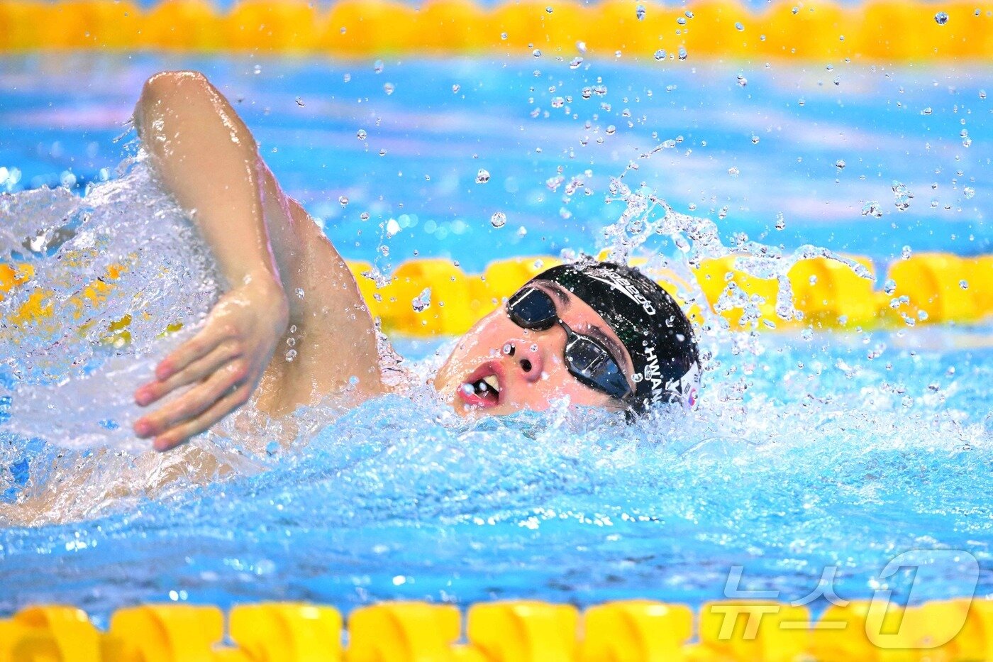 본문 이미지 - 2025 싱가포르 세계수영선수권대회에서 역영하는 황선우. ⓒ AFP=뉴스1