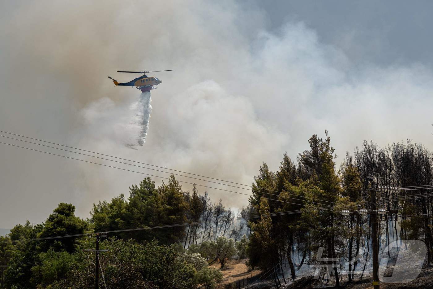 본문 이미지 - 그리스 에비아섬 파슈나 마을 인근에서 산불이 발생해 27일 소방 헬기가 진화 작업에 나서고 있다. 2025.7.27 ⓒ AFP=뉴스1 ⓒ News1 강민경 기자