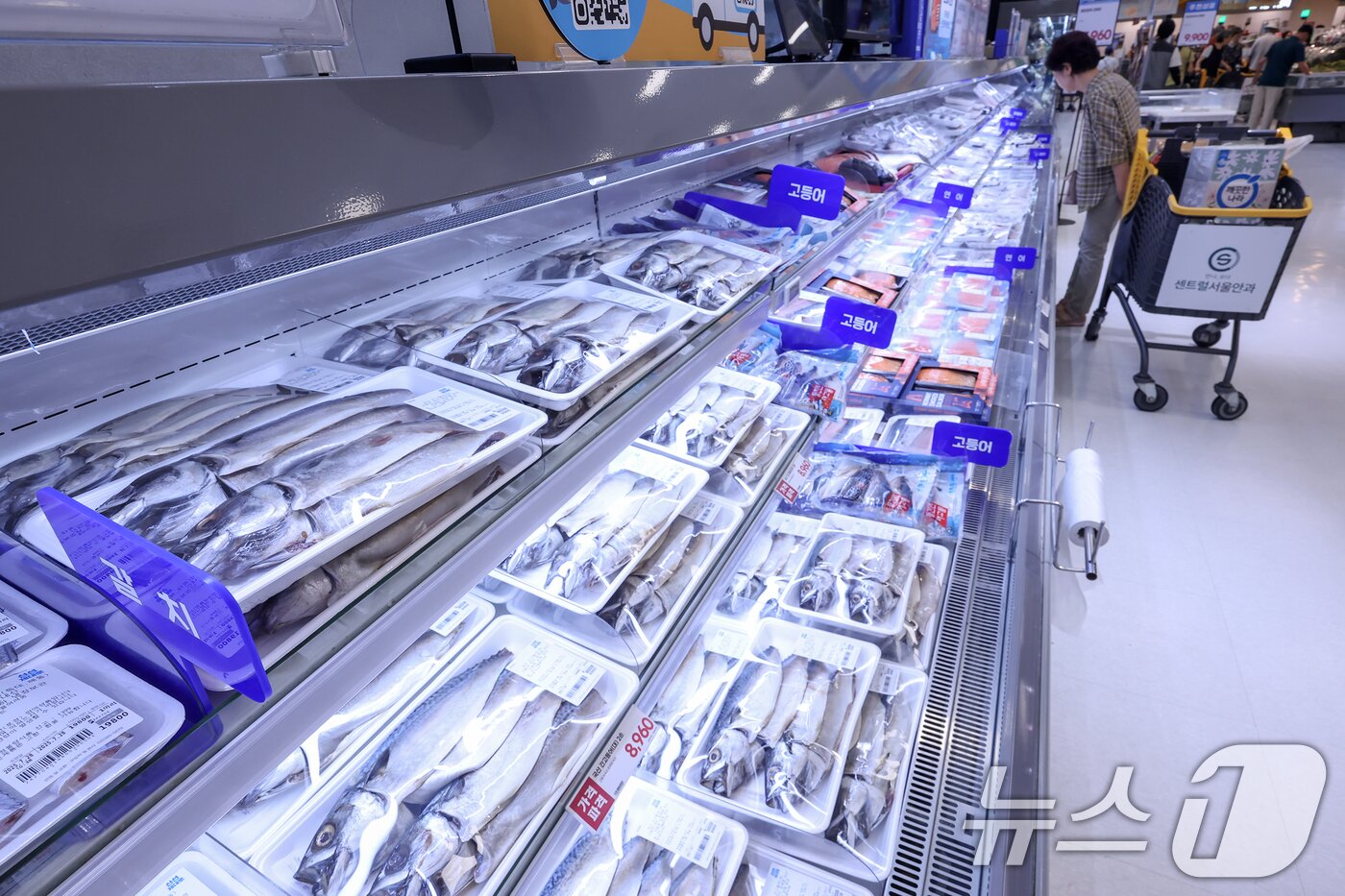 본문 이미지 - 서울의 한 대형마트에서 시민들이 수산물을 구입하고 있다. 2025.7.28/뉴스1 ⓒ News1 민경석 기자