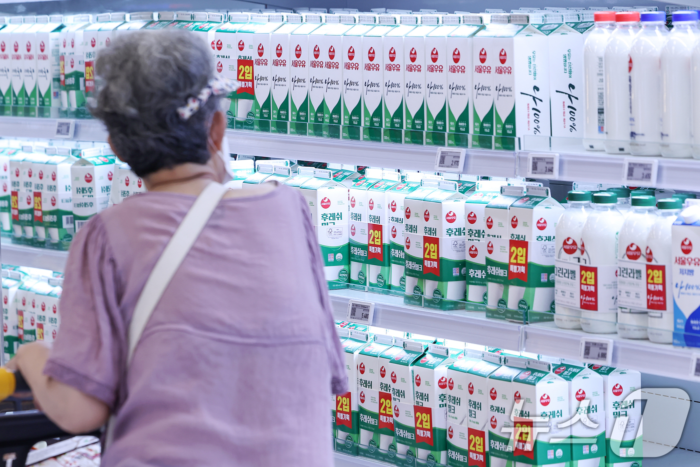 (서울=뉴스1) 민경석 기자 = 기록적인 폭염이 이어지면서 우유 공급 변동성 우려가 높아지고 있다.업계와 낙농진흥회는 우유 원유 생산량이 5~10% 감소한 것으로 추정하고 있다.이 …