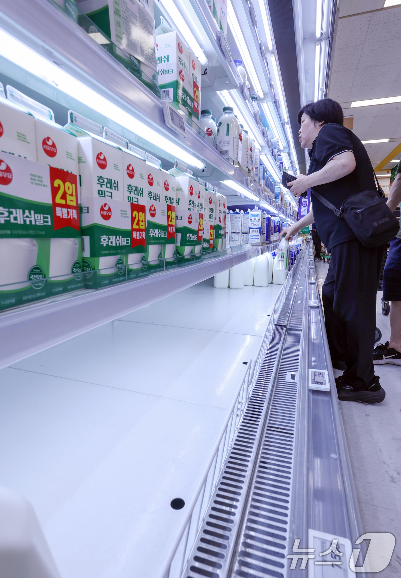 (서울=뉴스1) 민경석 기자 = 기록적인 폭염이 이어지면서 우유 공급 변동성 우려가 높아지고 있다.업계와 낙농진흥회는 우유 원유 생산량이 5~10% 감소한 것으로 추정하고 있다.2 …