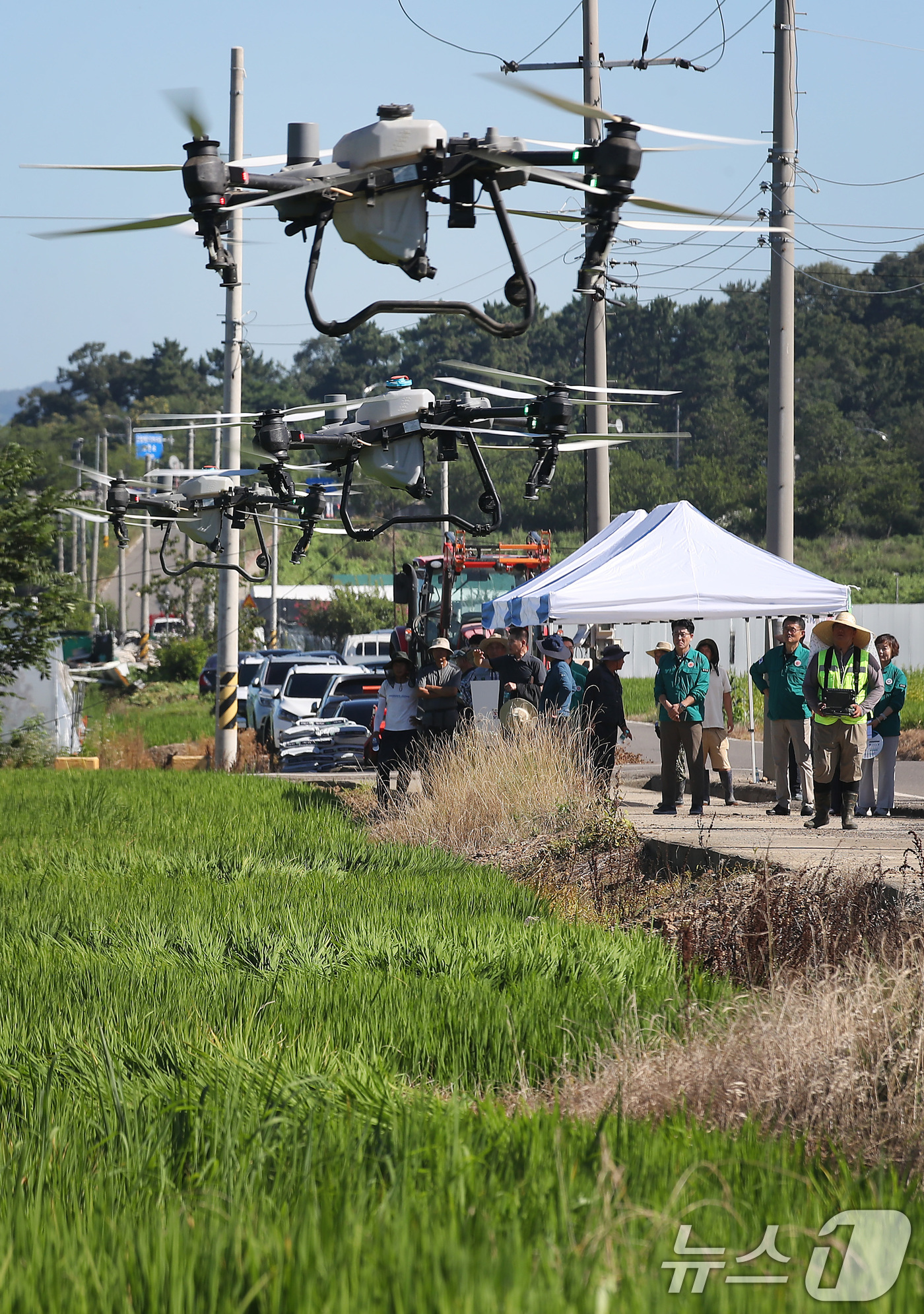 (대구=뉴스1) 공정식 기자 = 폭염이 계속된 28일 오전 대구 달성군 화원읍 설화리 논에서 드론을 활용한 무인항공방제가 진행되고 있다.달성군은 기후 변화로 인해 해마다 증가하는 …