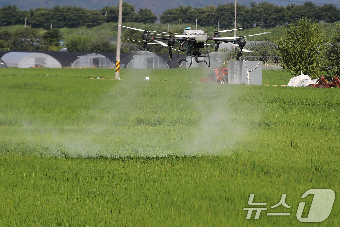(대구=뉴스1) 공정식 기자 = 폭염이 계속된 28일 오전 대구 달성군 화원읍 설화리 논에서 드론을 활용한 무인항공방제가 진행되고 있다.달성군은 기후 변화로 인해 해마다 증가하는 …