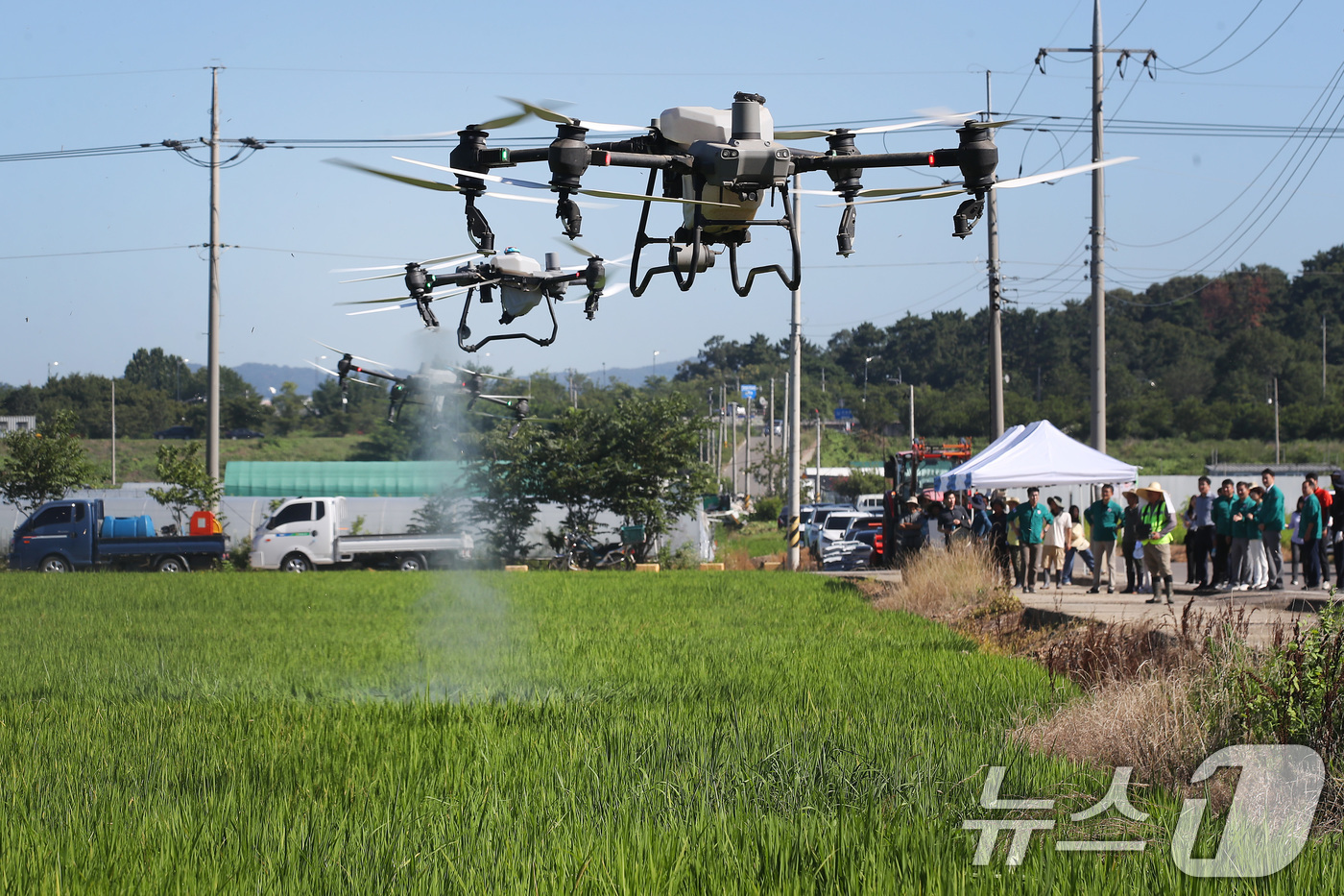 (대구=뉴스1) 공정식 기자 = 폭염이 계속된 28일 오전 대구 달성군 화원읍 설화리 논에서 드론을 활용한 무인항공방제가 진행되고 있다.달성군은 기후 변화로 인해 해마다 증가하는 …