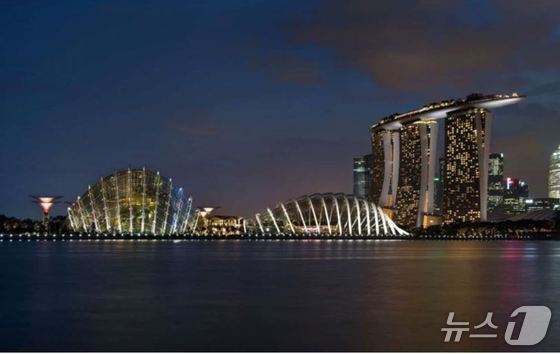 본문 이미지 - 싱가포르 &#39;가든스 바이 더 베이&#39; 조명 &#40;LPA 홈페이지 갈무리&#41; 