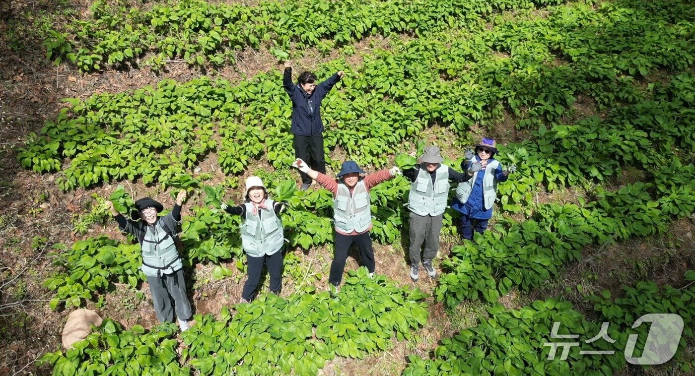 본문 이미지 - 인제 한달살아보기.(인제군 제공. 재판매 및 DB금지)/뉴스1