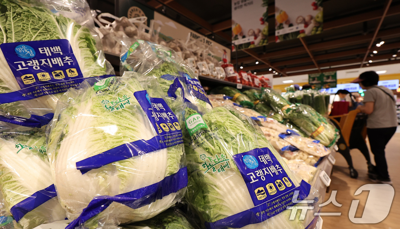 (서울=뉴스1) 김성진 기자 = 여름철 폭염과 폭우 등으로 최근 배추와 상추 가격이 한 달 새 50% 오르는 등 채솟값이 전체적으로 상승함에 따라, 전체 소비자물가에 악영향을 미칠 …