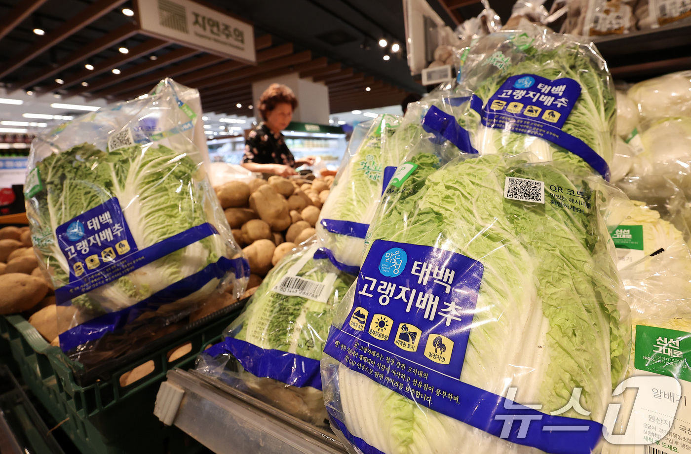 (서울=뉴스1) 김성진 기자 = 여름철 폭염과 폭우 등으로 최근 배추와 상추 가격이 한 달 새 50% 오르는 등 채솟값이 전체적으로 상승함에 따라, 전체 소비자물가에 악영향을 미칠 …