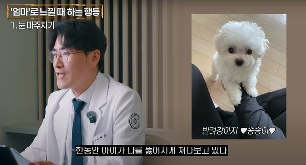 강아지가 보호자를 엄마로 생각하면 '이렇게' 행동…8가지 신호는