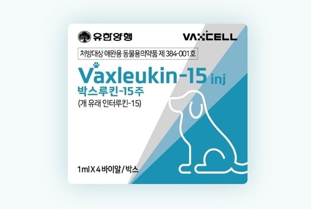 개 유선종양 면역보조제 '박스루킨-15', 고양이도 적응증 확대 연구