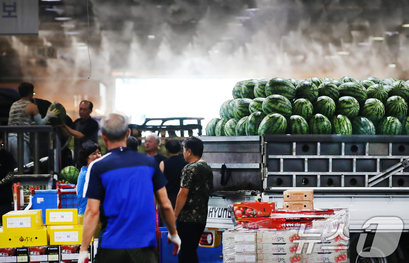 (대구=뉴스1) 공정식 기자 = 중복을 하루 앞둔 29일 대구 북구 매천동 대구농수산물도매시장 하역장에서 작업자들이 산지에서 올라온 수박을 분류하고 있다. 하역장 주변에는 쿨링포그 …