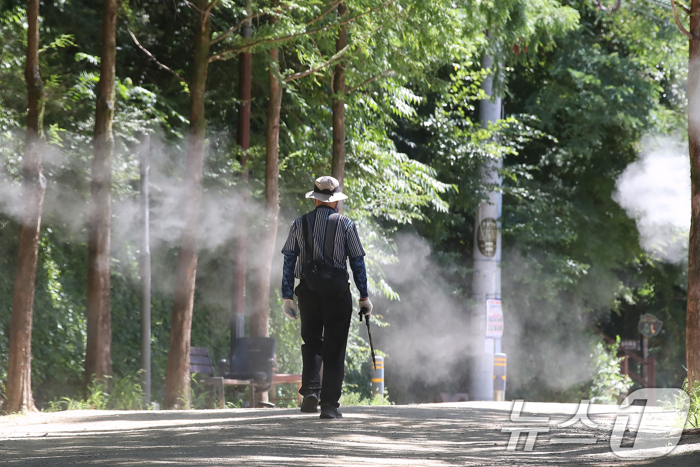 (대구=뉴스1) 공정식 기자 = 연일 폭염이 이어진 29일 오후 대구 남구 앞산 고산골에서 시민들이 쿨링포그가 가동된 등산로를 걷고 있다. 2025.7.29/뉴스1