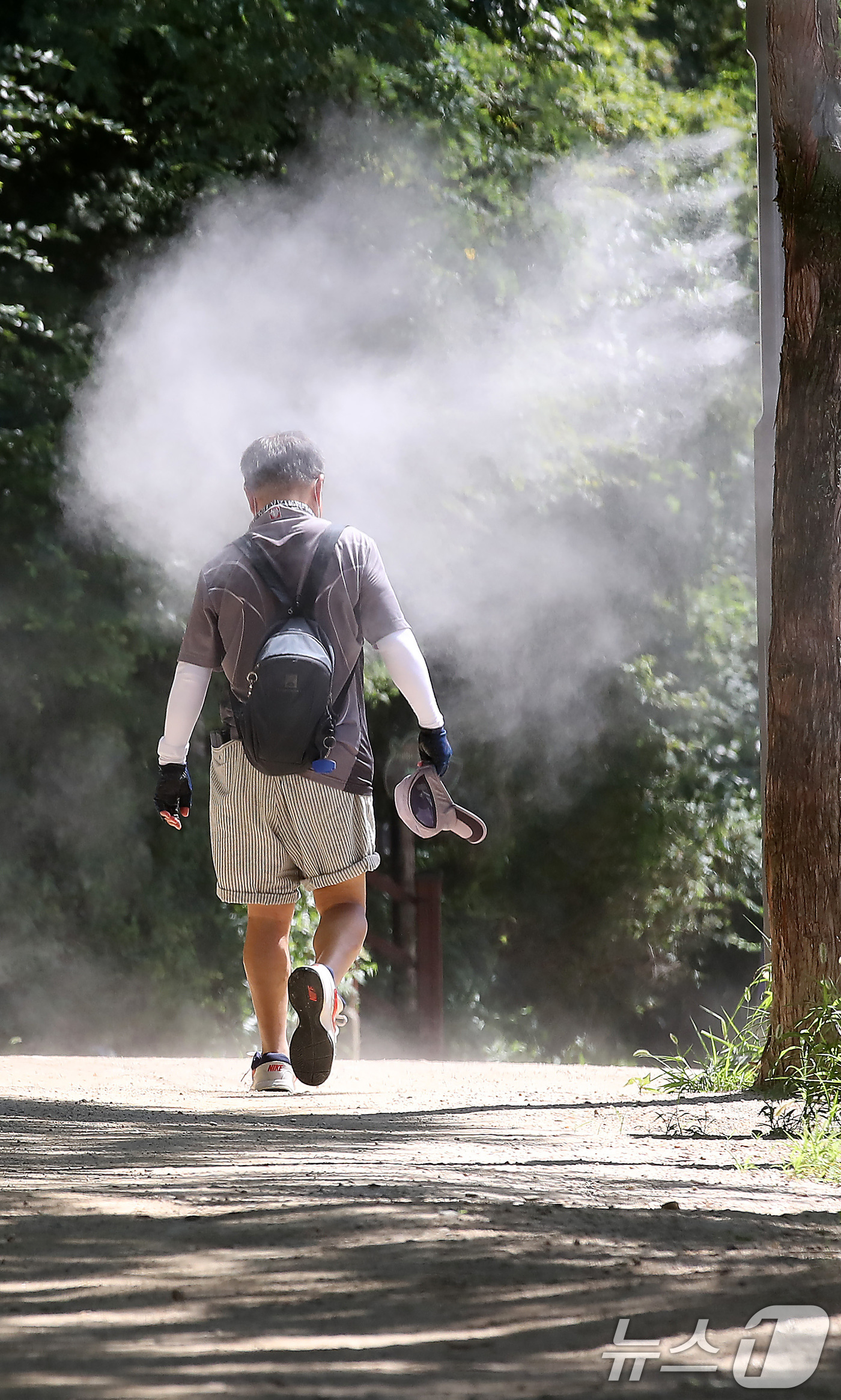 (대구=뉴스1) 공정식 기자 = 연일 폭염이 이어진 29일 오후 대구 남구 앞산 고산골에서 시민들이 쿨링포그가 가동된 등산로를 걷고 있다. 2025.7.29/뉴스1
