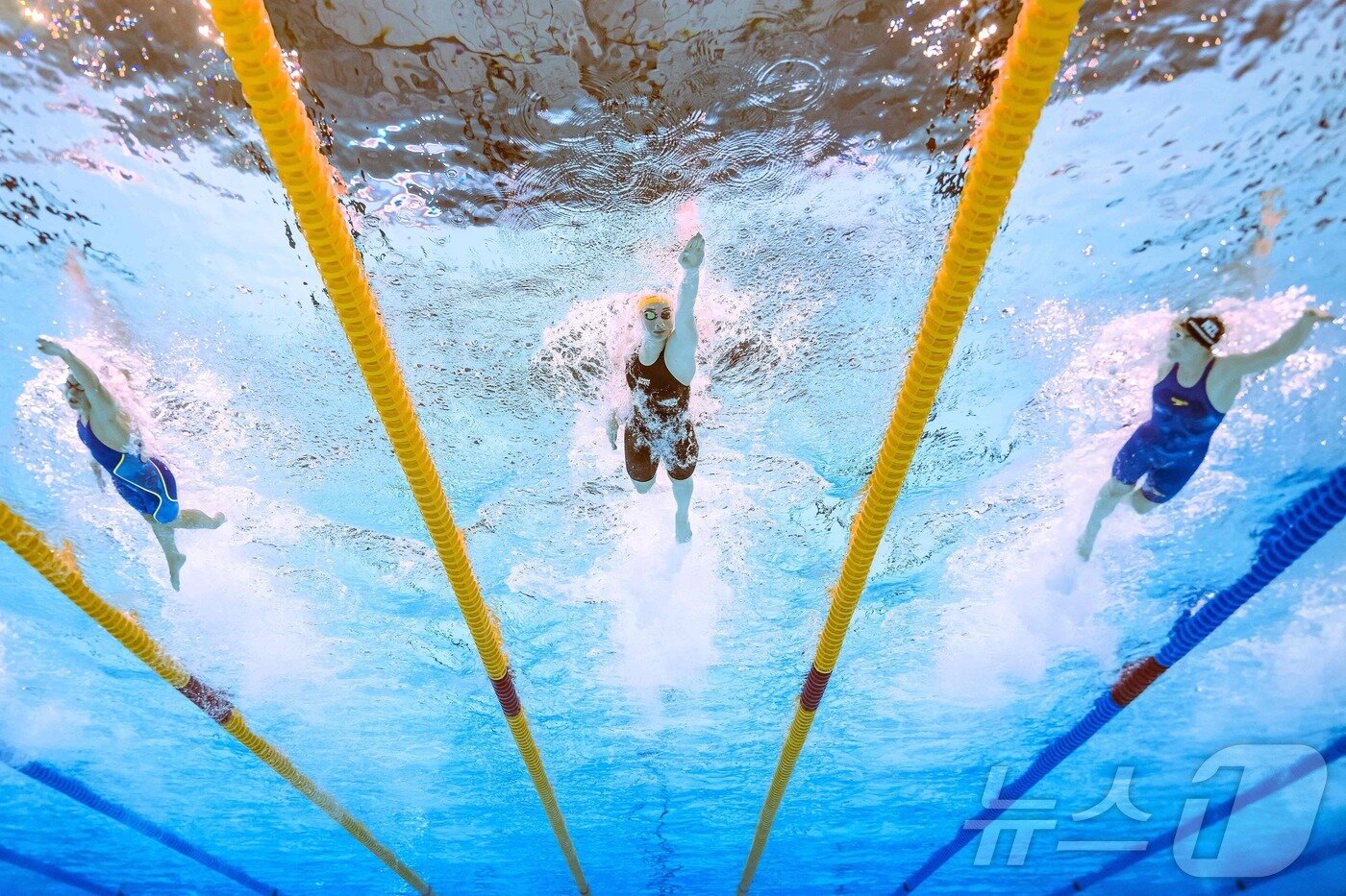 본문 이미지 - 2025 싱가포르 세계수영선수권대회 경영 자유형 200m 경기 모습. ⓒ AFP=뉴스1