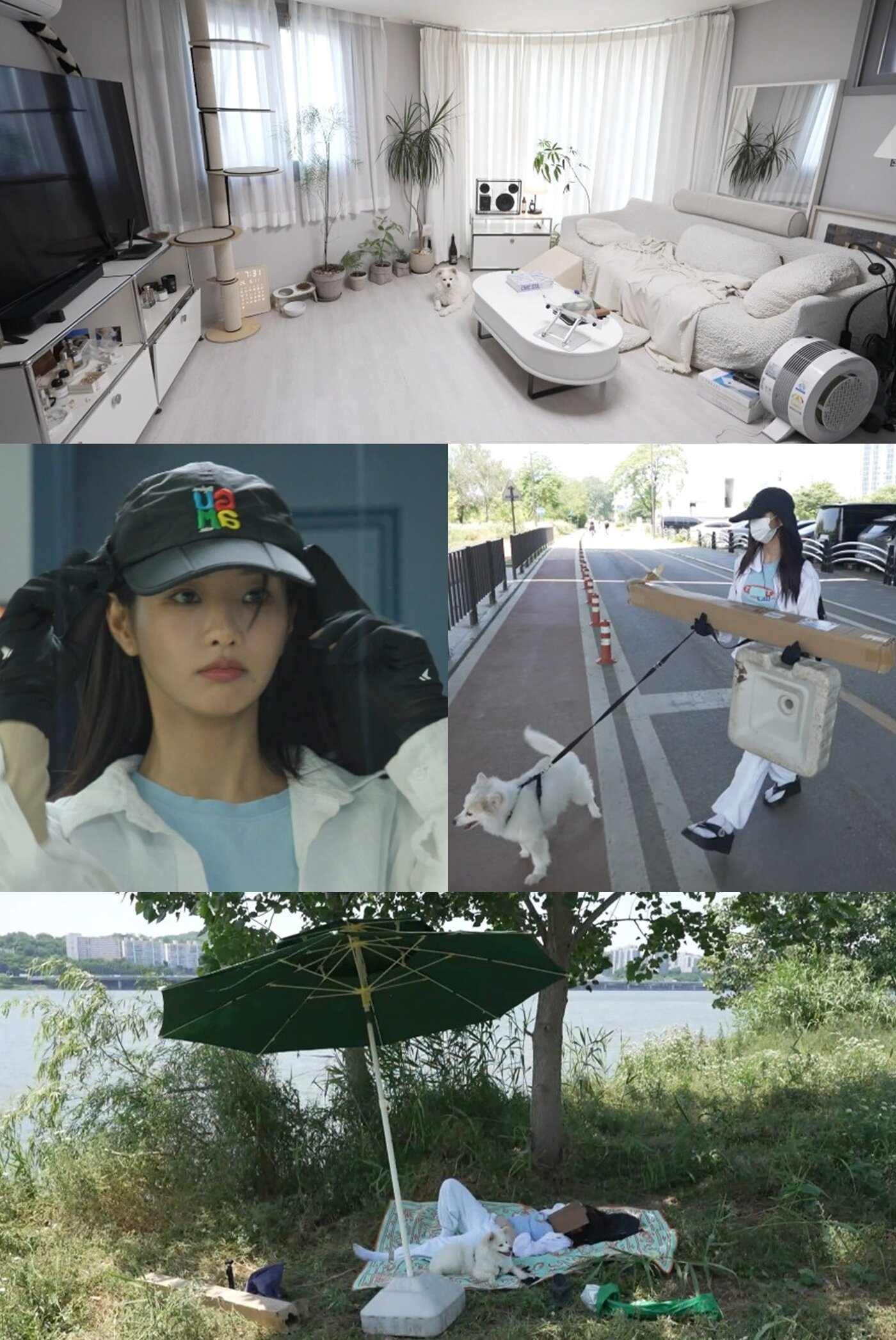 본문 이미지 - MBC