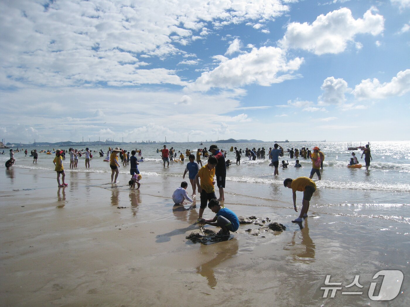 본문 이미지 - 난지섬 해수욕장 전경. (당진시제공. 재판매 및 DB금지)2025.7.3/뉴스1