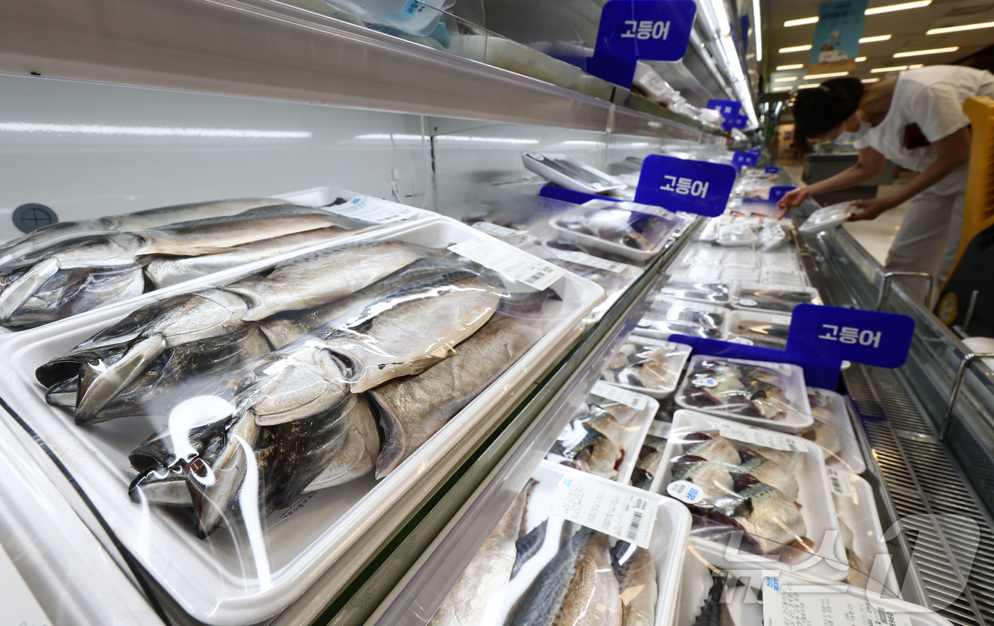 (서울=뉴스1) 김도우 기자 = ‘국민 생선’으로 알려진 고등어를 비롯한 수산물 가격이 급등한 것으로 나타났다.3일 한국농수산식품유통공사(aT)의 농산물 유통정보를 보면 고등어(국 …