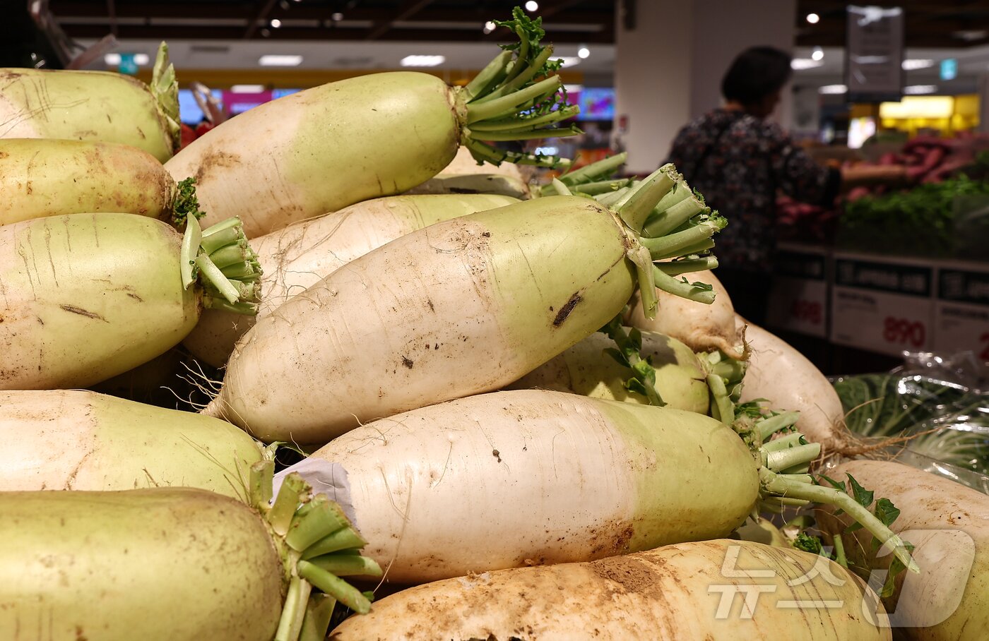 본문 이미지 - 서울 시내 한 대형마트에 진열된 무. /뉴스1 ⓒ News1 김도우 기자