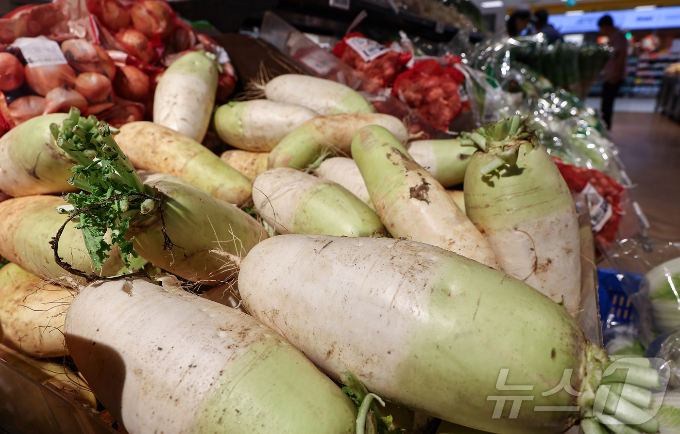 (서울=뉴스1) 김도우 기자 = 올해 상반기 소비자물가 상승률이 2%대를 기록했다.3일 통계청 국가통계포털(KOSIS) 올해 1∼6월 소비자물가지수를 보면 전년 동기보다 2.1% …