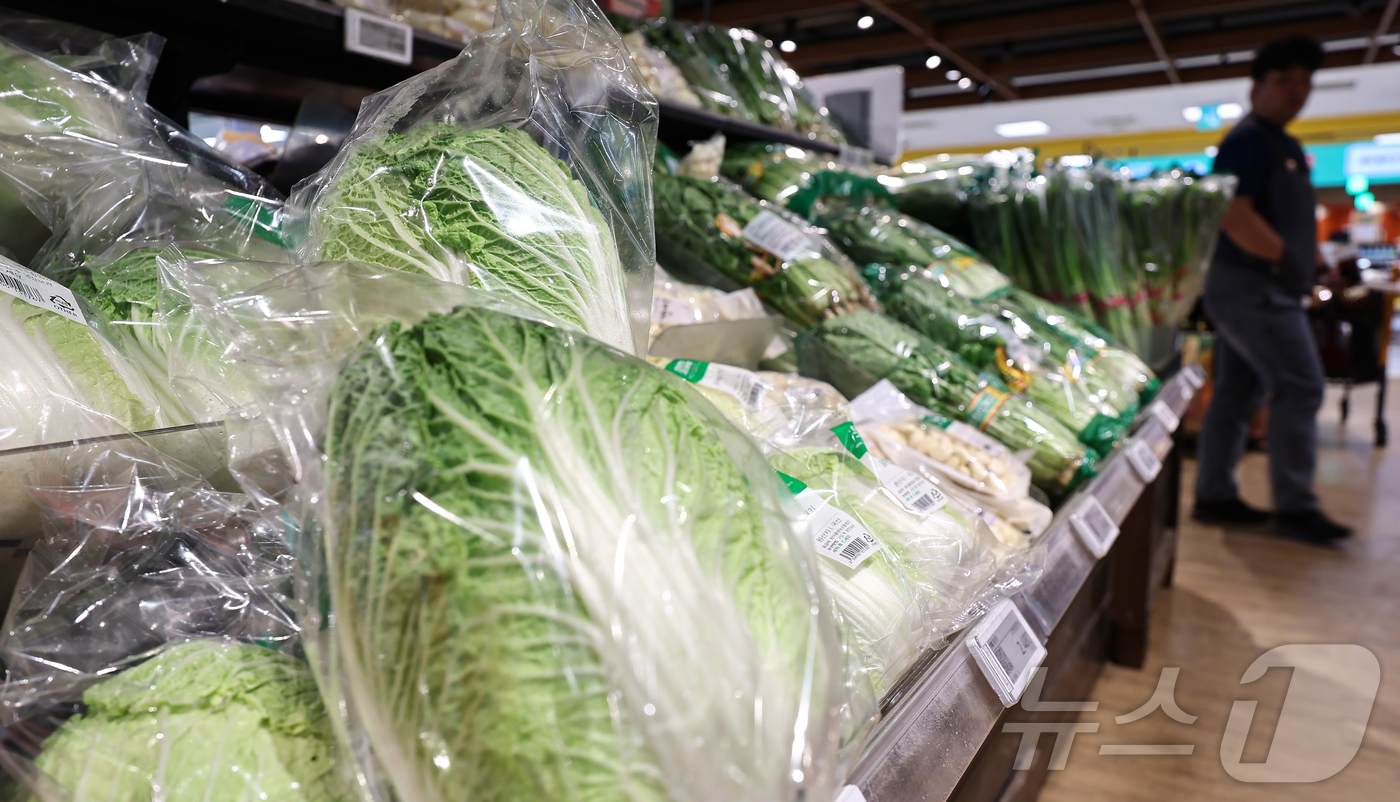 (서울=뉴스1) 김도우 기자 = 올해 상반기 소비자물가 상승률이 2%대를 기록했다.3일 통계청 국가통계포털(KOSIS) 올해 1∼6월 소비자물가지수를 보면 전년 동기보다 2.1% …