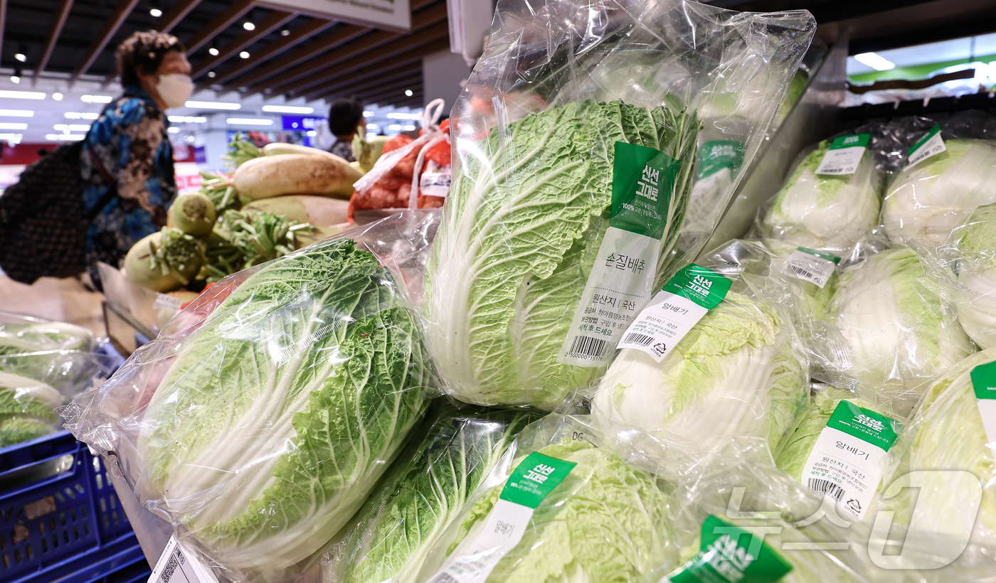 (서울=뉴스1) 김도우 기자 = 올해 상반기 소비자물가 상승률이 2%대를 기록했다.3일 통계청 국가통계포털(KOSIS) 올해 1∼6월 소비자물가지수를 보면 전년 동기보다 2.1% …