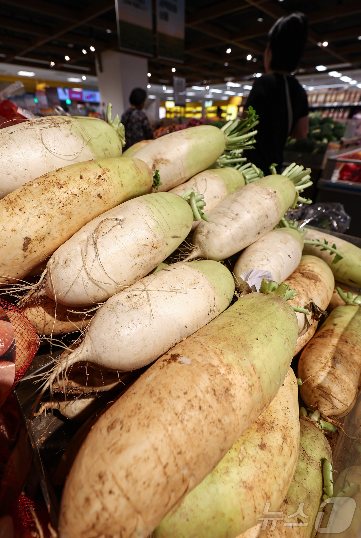 (서울=뉴스1) 김도우 기자 = 올해 상반기 소비자물가 상승률이 2%대를 기록했다.3일 통계청 국가통계포털(KOSIS) 올해 1∼6월 소비자물가지수를 보면 전년 동기보다 2.1% …