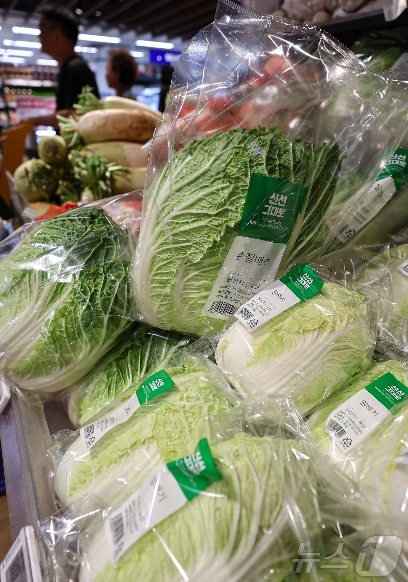 (서울=뉴스1) 김도우 기자 = 올해 상반기 소비자물가 상승률이 2%대를 기록했다.3일 통계청 국가통계포털(KOSIS) 올해 1∼6월 소비자물가지수를 보면 전년 동기보다 2.1% …