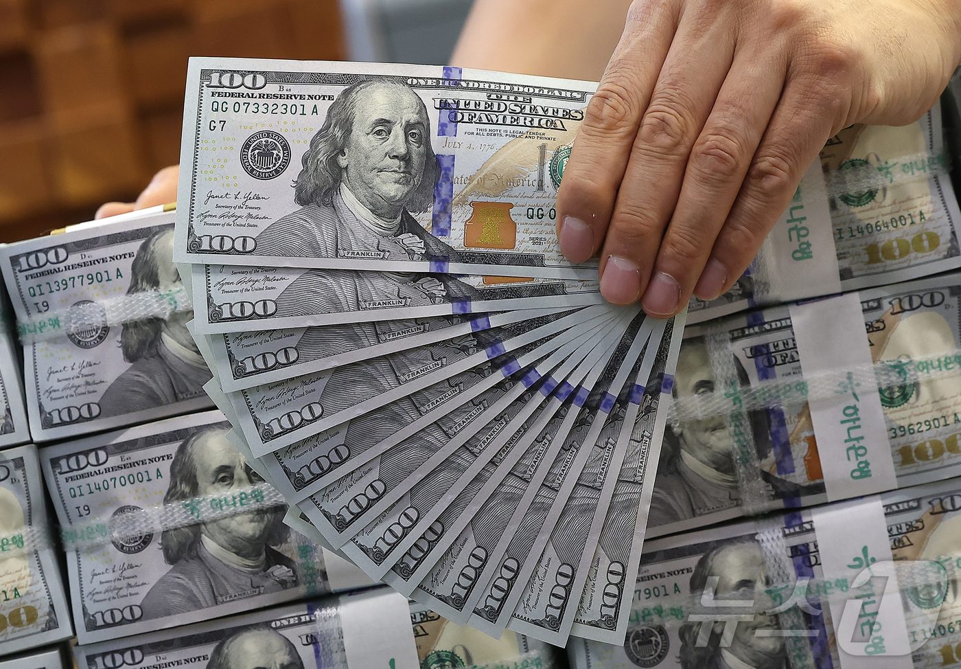 (서울=뉴스1) 김진환 기자 = 3일 서울 중구 하나은행 위변조대응센터 직원이 달러화를 정리하고 있다.이날 한국은행에 따르면 지난 6월말 외환보유액은 전월 대비 56억1000만달러 …