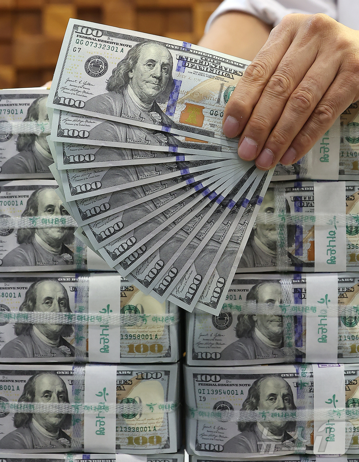 외환보유액, 5개월 만에 4100억달러 위로 - 뉴스1