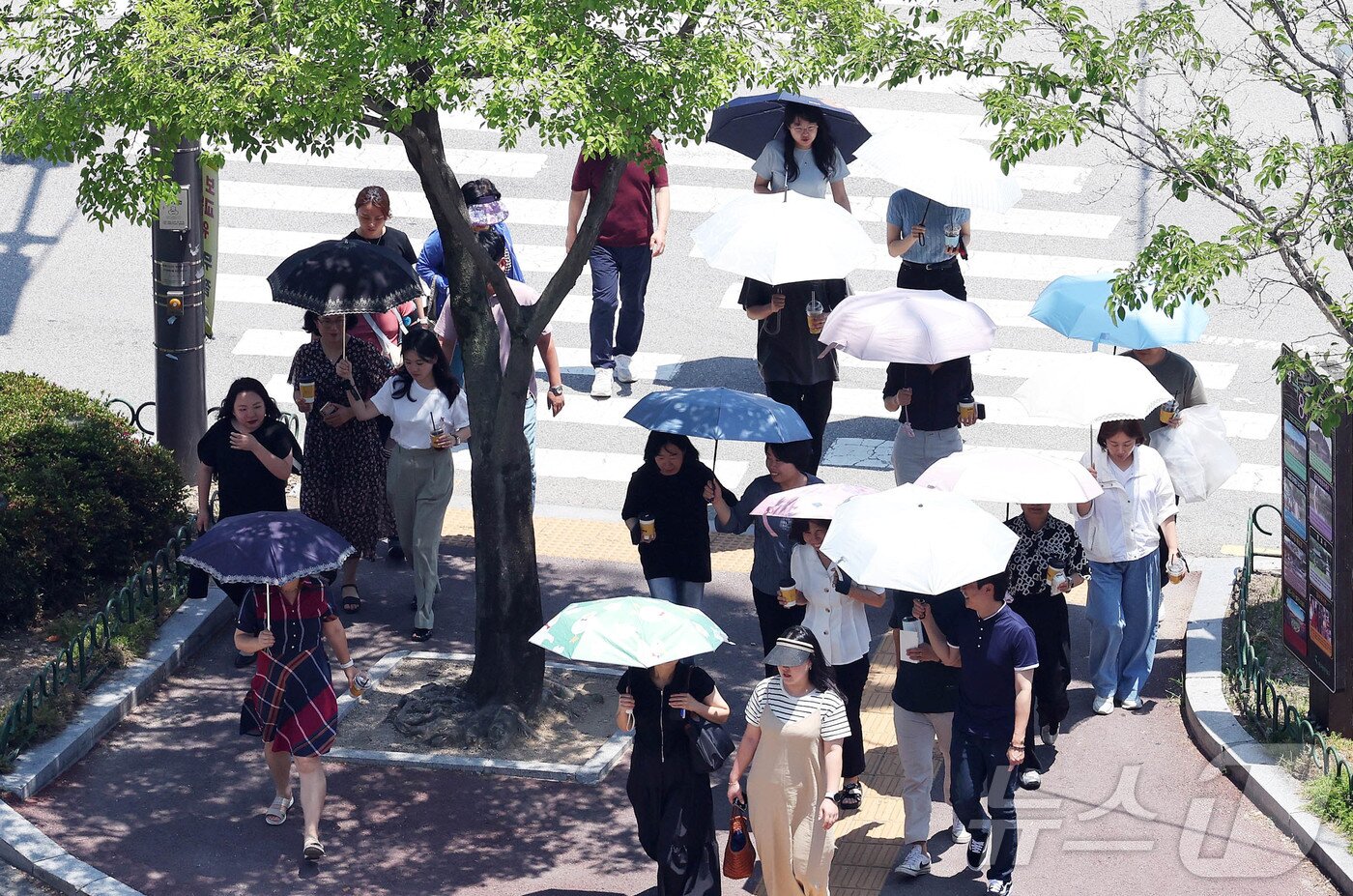 본문 이미지 - 찜통더위가 이어지고 있는 3일 광주 북구청 교차로에 구청 공직자들이 점심시간 양산을 쓰고 이동하고 있다. &#40;광주 북구 제공. 재판매 및 DB 금지&#41; 2025.7.3/뉴스1 ⓒ News1 박지현 기자