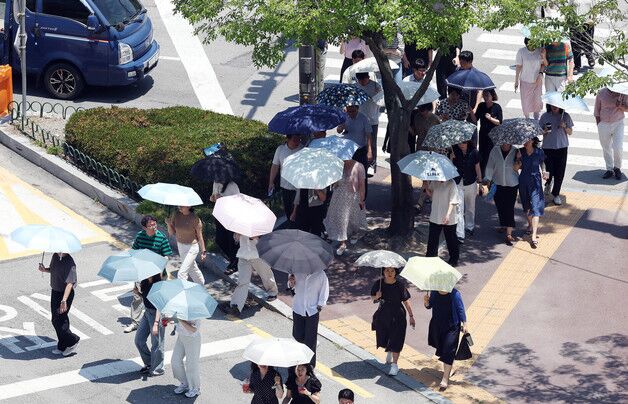 충북 온열질환 50명·가축 1만4185마리 폐사…비상근무 3단계 가동