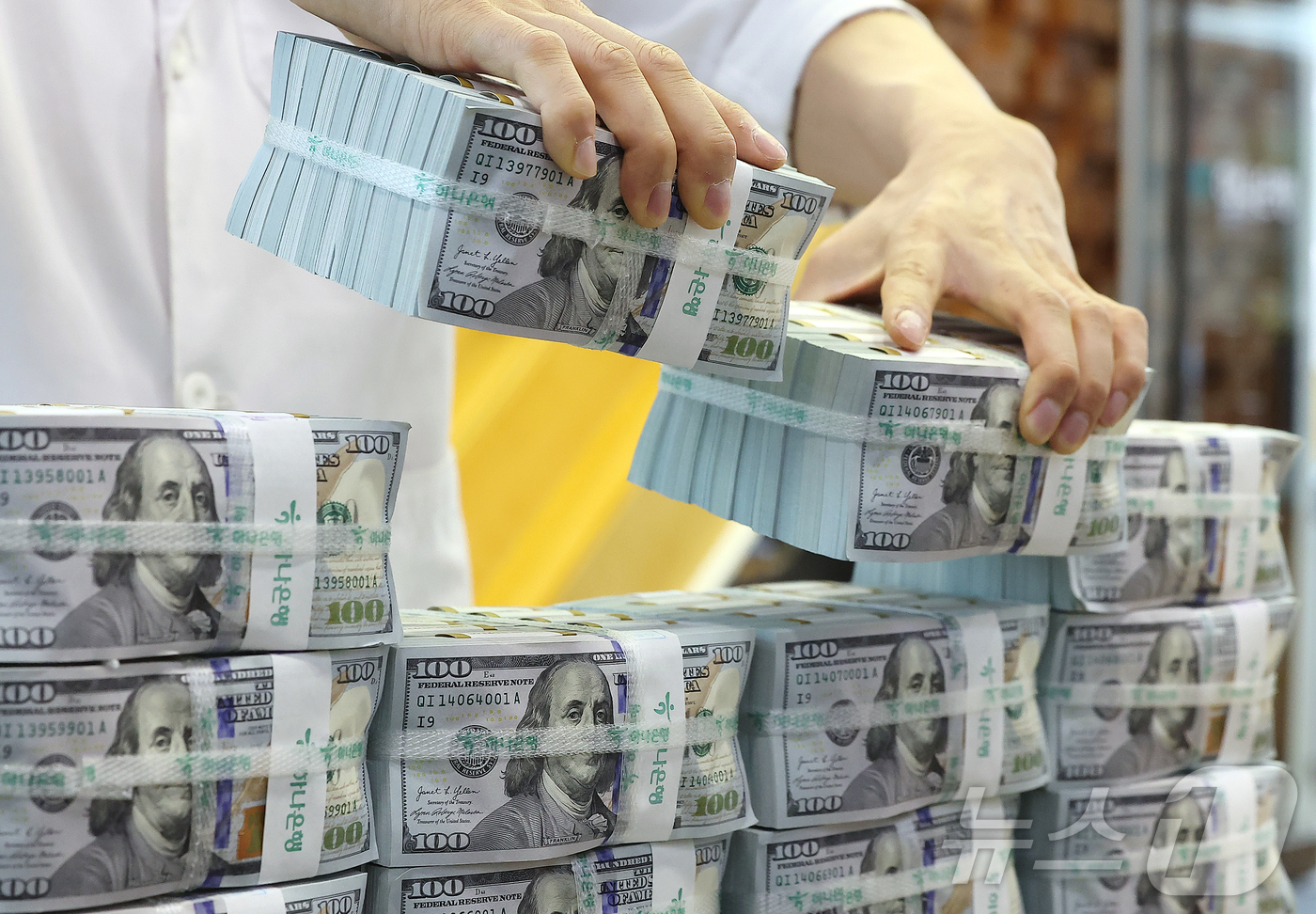 (서울=뉴스1) 김진환 기자 = 3일 서울 중구 하나은행 위변조대응센터 직원이 달러화를 정리하고 있다.이날 한국은행에 따르면 지난 6월말 외환보유액은 전월 대비 56억1000만달러 …