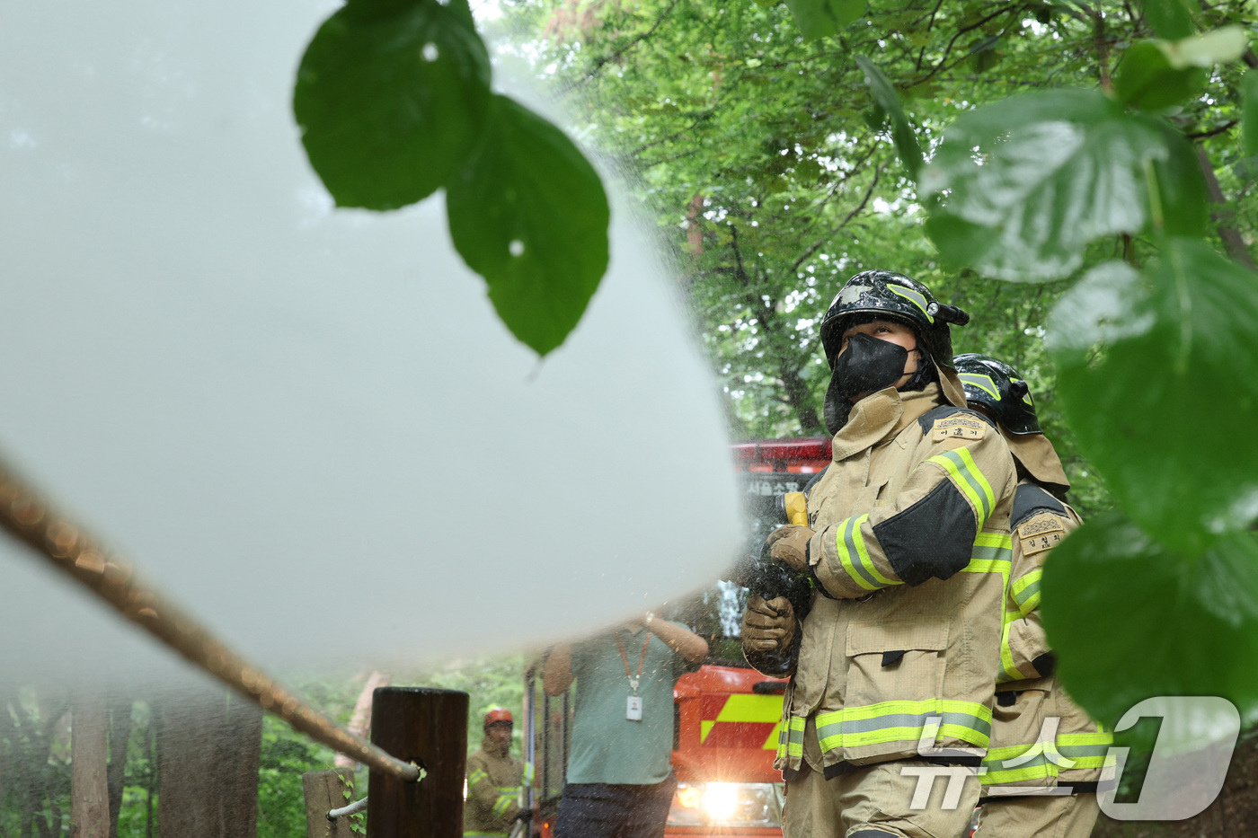 (서울=뉴스1) 신웅수 기자 = 3일 오후 서울 노원구 삼육대학교에서 소방대원들이 살수차를 이용해 붉은등우단털파리(러브버그) 방제 활동을 하고 있다. 2025.7.3/뉴스1