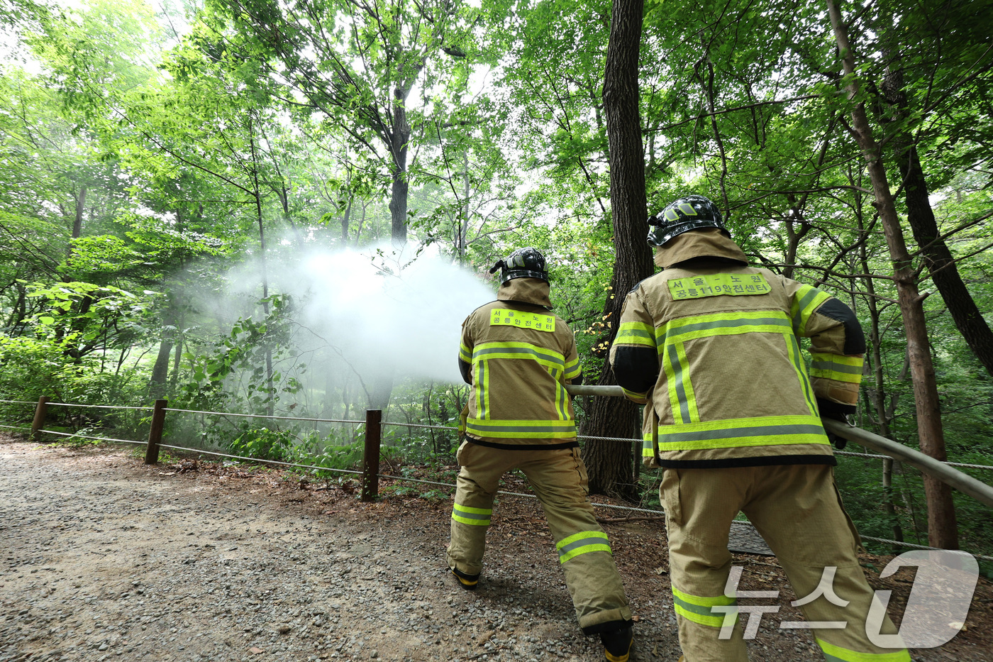 (서울=뉴스1) 신웅수 기자 = 3일 오후 서울 노원구 삼육대학교에서 소방대원들이 살수차를 이용해 붉은등우단털파리(러브버그) 방제 활동을 하고 있다. 2025.7.3/뉴스1