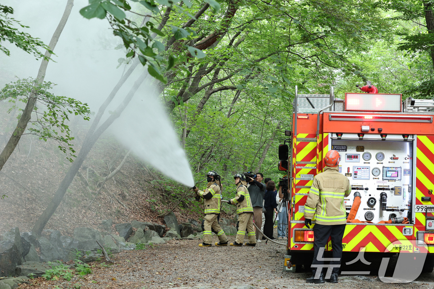 (서울=뉴스1) 신웅수 기자 = 3일 오후 서울 노원구 삼육대학교에서 소방대원들이 살수차를 이용해 붉은등우단털파리(러브버그) 방제 활동을 하고 있다. 2025.7.3/뉴스1