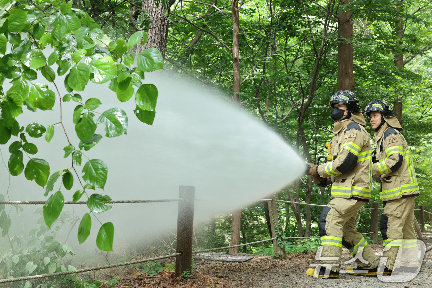 (서울=뉴스1) 신웅수 기자 = 3일 오후 서울 노원구 삼육대학교에서 소방대원들이 살수차를 이용해 붉은등우단털파리(러브버그) 방제 활동을 하고 있다. 2025.7.3/뉴스1