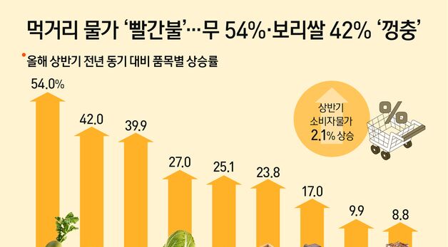 [오늘의 그래픽] 먹거리 물가 '빨간불'…무 54%·오징어채 40%·배추 27%  '껑충'