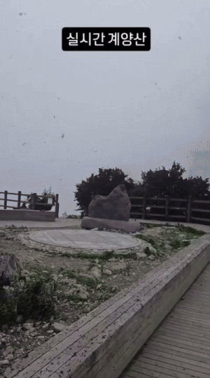 본문 이미지 - (인스타그램 갈무리)