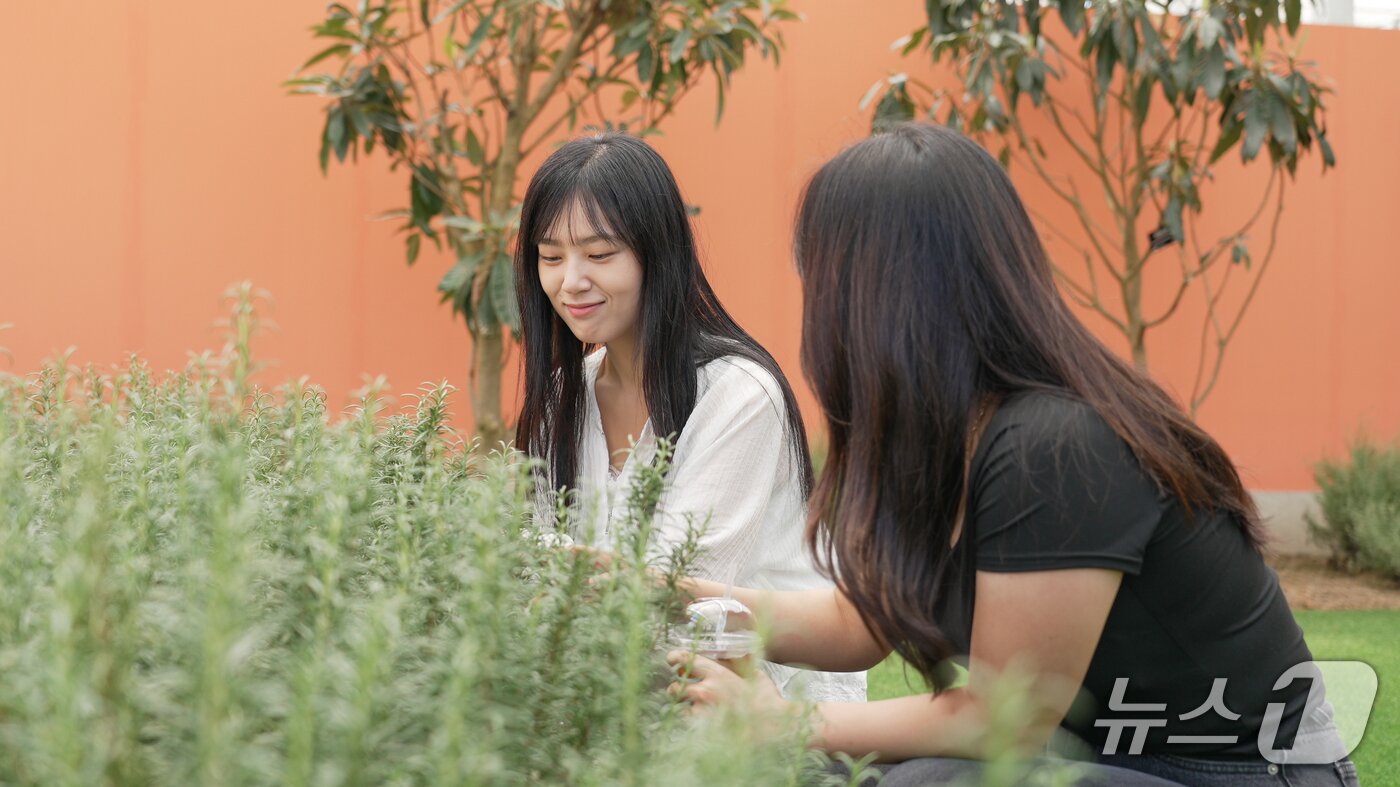 본문 이미지 - 국립정원문화원 갤러리온실 &#40;한국수목원정원관리원 제공.재판매 및 DB금지&#41; /뉴스1