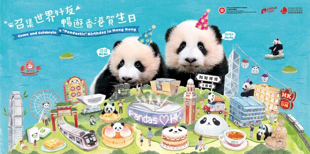 "첫 쌍둥이 판다 생일 축하합니다"…8월 홍콩 전체가 축제장 된다