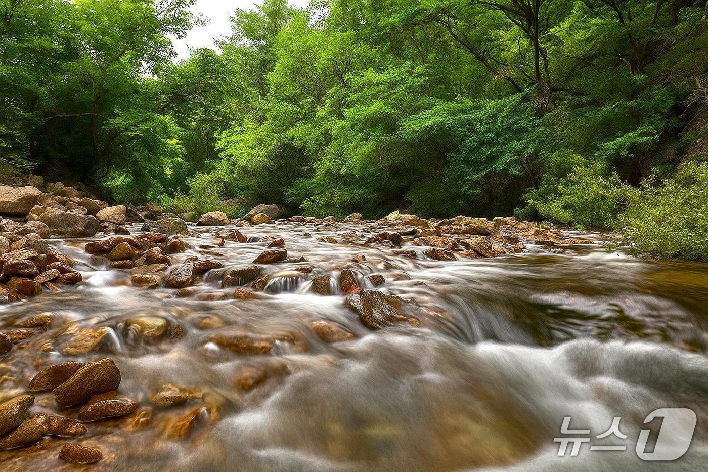 본문 이미지 - 속리산 청정 자연이 빚은 보은 만수계곡 (보은군 제공, 재판매 및 DB금지) /뉴스1