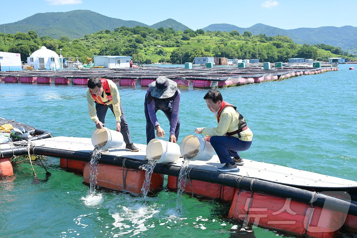 본문 이미지 - 정기명 전남 여수시장&#40;오른쪽&#41;이 30일 돌산읍 가두리 양식장을 찾아 고수온에 따른 피해 예방을 위해 긴급 방류를 하고 있다.&#40;여수시 제공. 재판매 및 DB 금지&#41;