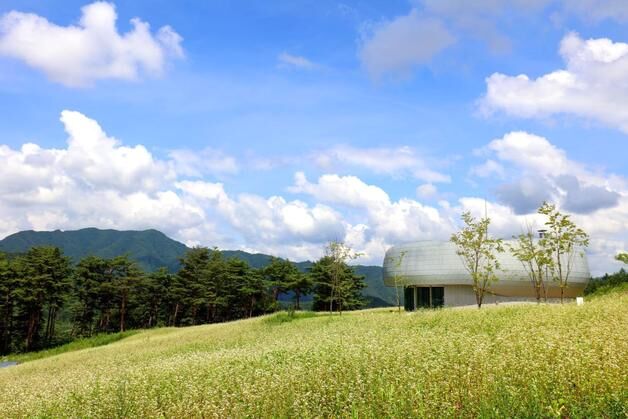 세계 52개 기관, 산림청 국제 식물종자 보전사업 참여 희망
