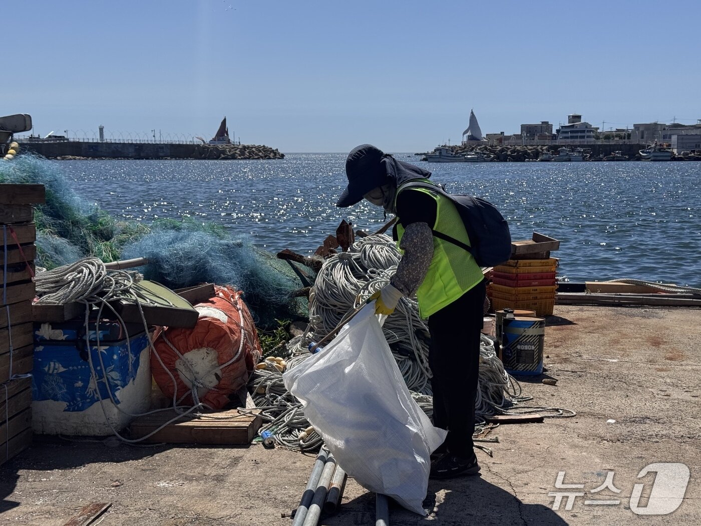 본문 이미지 - 울산 북구 정자항 일대에서 바다환경지킴이가 쓰레기를 수거하고 있다. 2025.7.30./뉴스1 ⓒNews1 김세은 기자