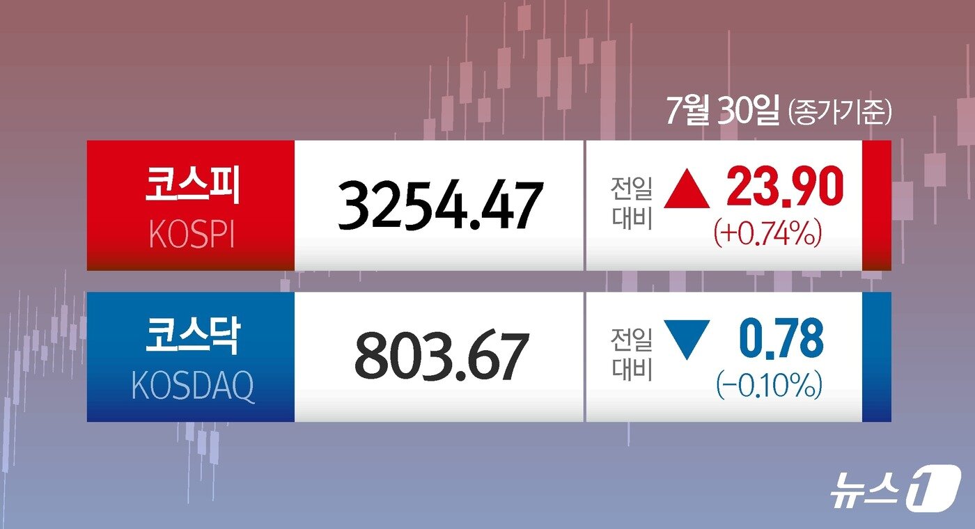 본문 이미지 - ⓒ News1 윤주희 디자이너