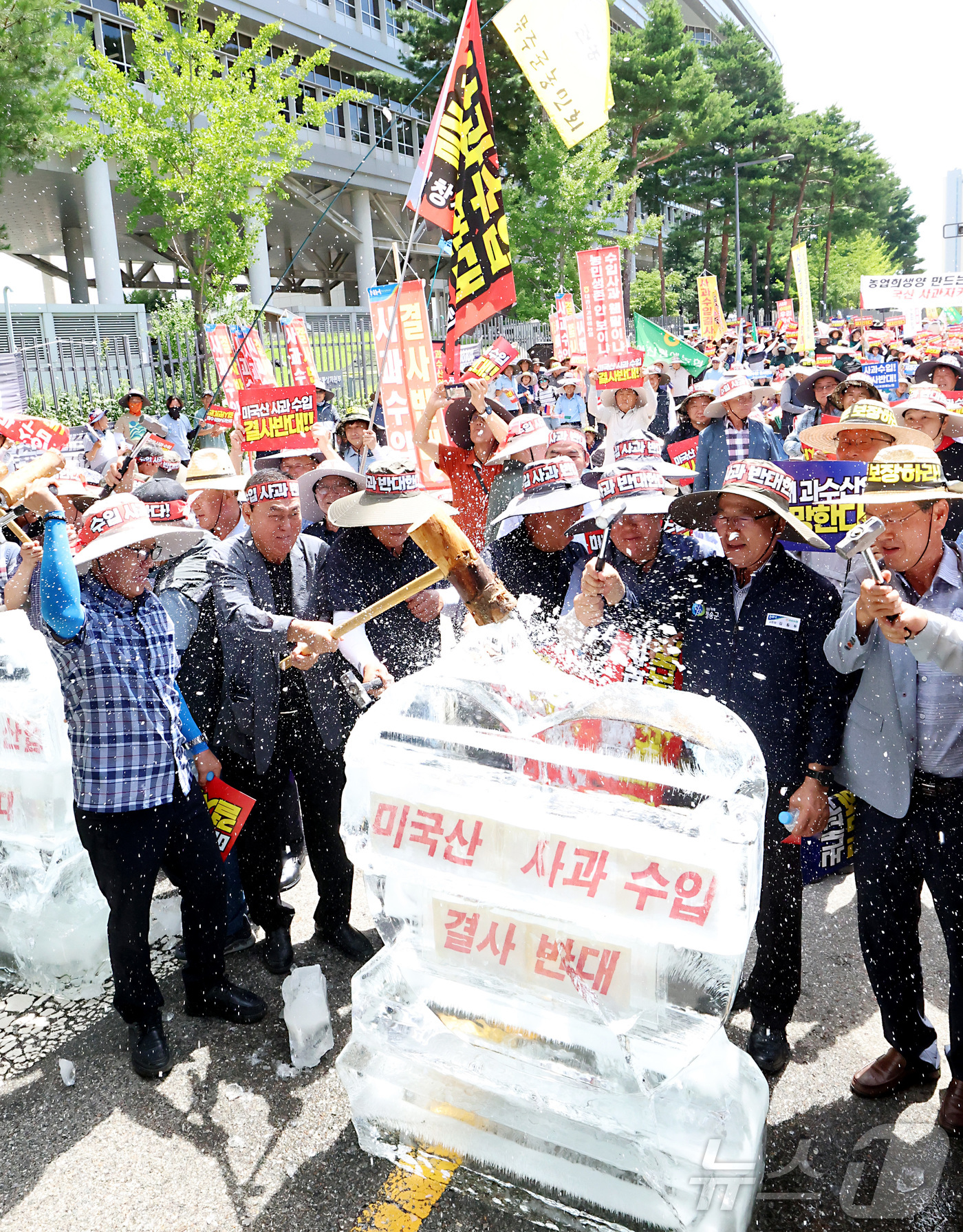 (세종=뉴스1) 김기남 기자 = 한국사과연합회, 한국과수농협연합회 관계자들과 농민들이 31일 세종시 정부세종청사 산업통상자원부 앞에서  미국산 사과수입 반대 집회를 열고 정부의 미 …
