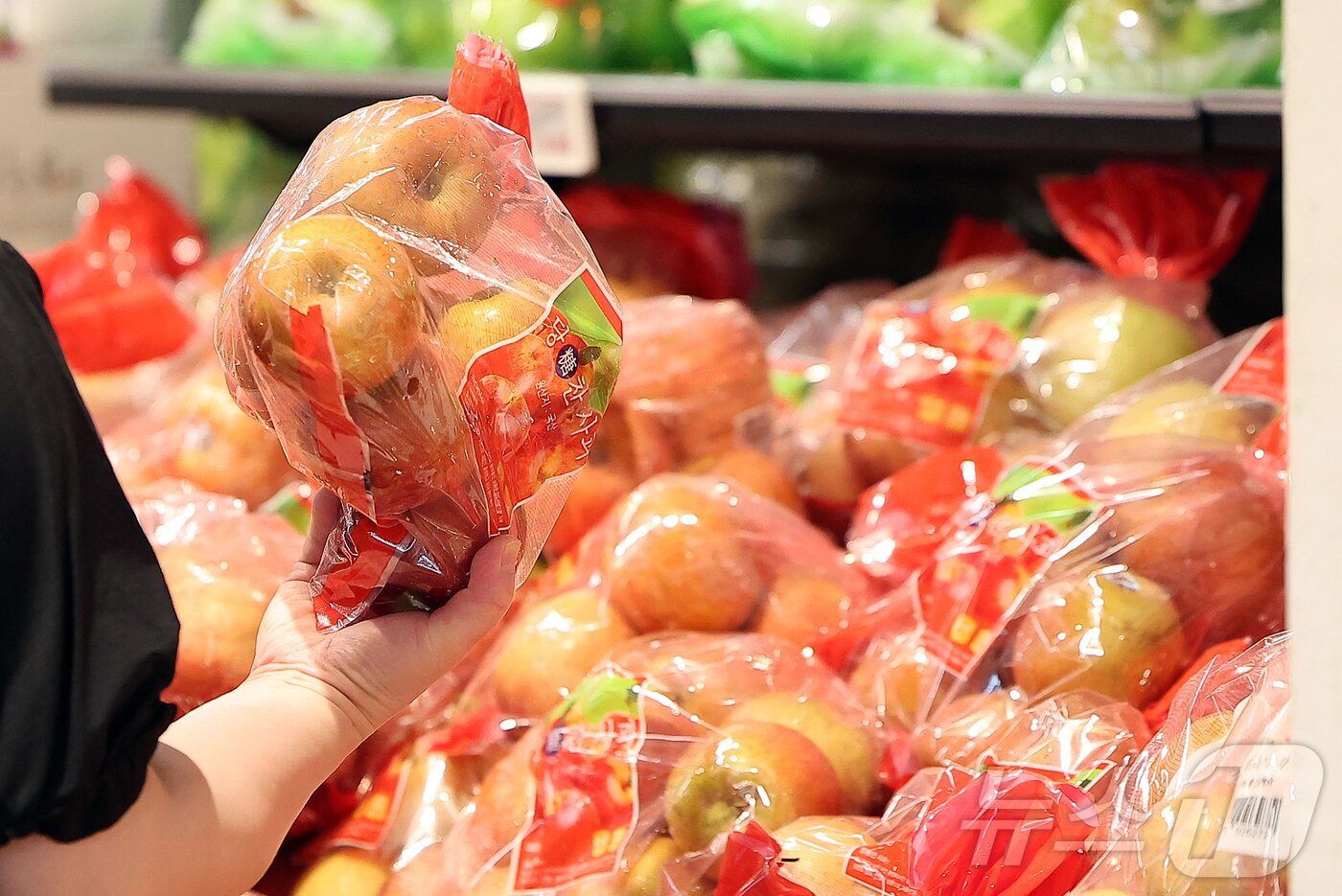 본문 이미지 -  서울 시내 한 대형마트에서 시민이 사과를 고르고 있다.ⓒ News1 김진환 기자