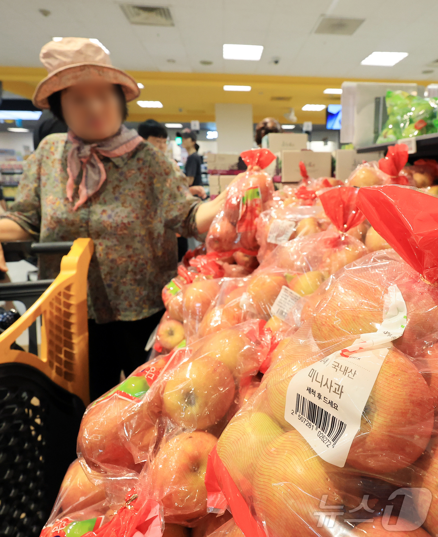 (서울=뉴스1) 김진환 기자 = 정부가 31일 한미 통상협상에서 쌀·소고기 추가 개방은 하지 않기로 미국과 최종 합의했으나, 미국 측은 과일·유전자변형 감자 등 다른 농산물 수입에 …
